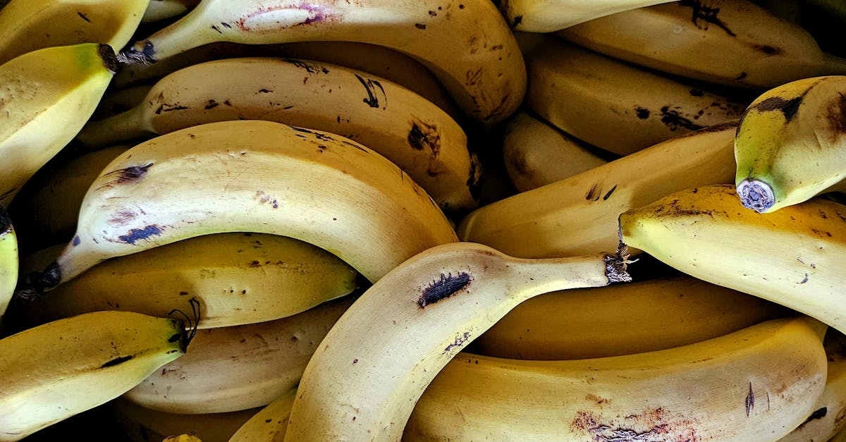 The Sweet Harvest: How Climate Change is Revolutionizing Fruit Production