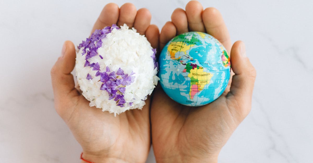 Global Update: A Mixed Bag of News from Around the World